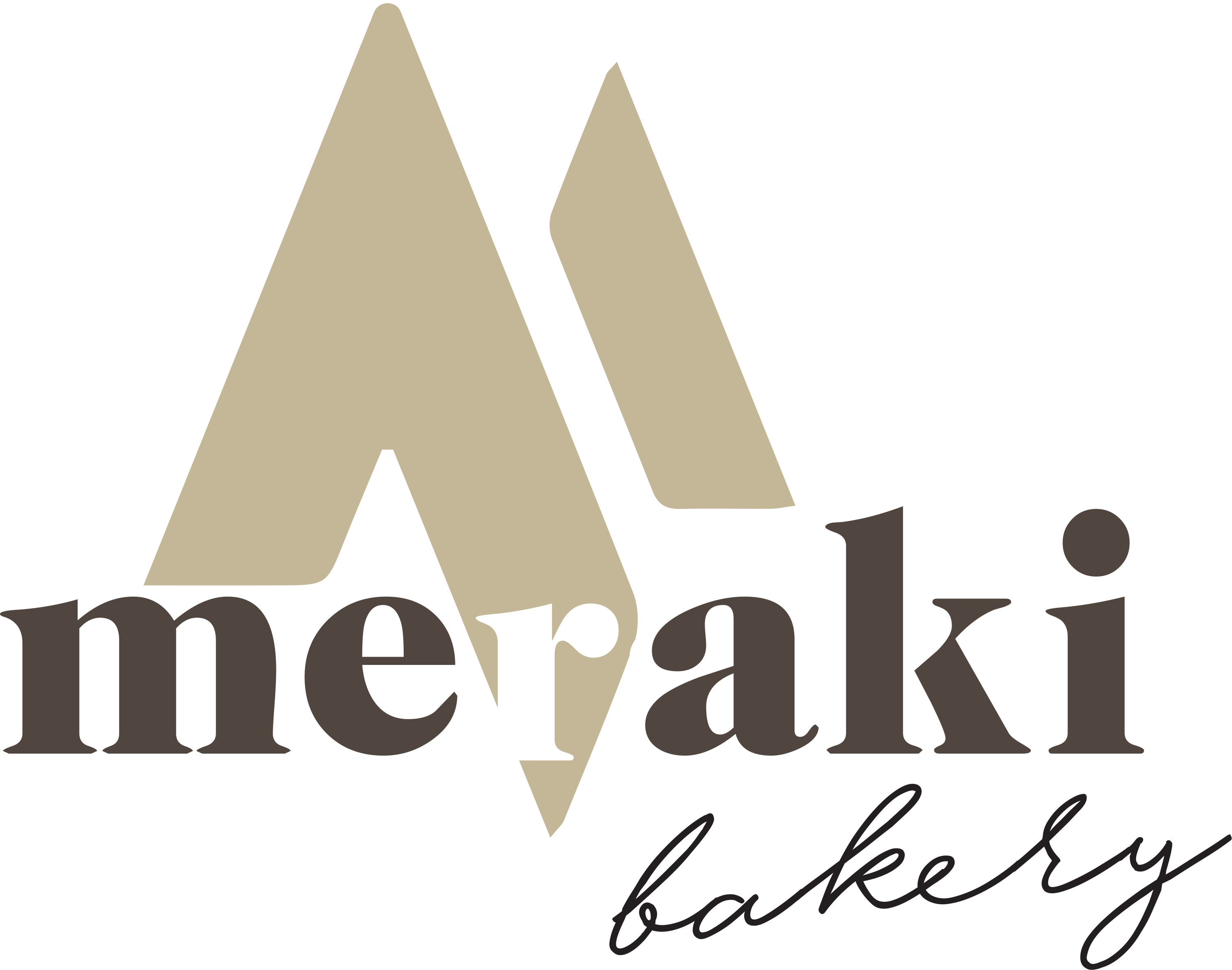 Meraki Bakery